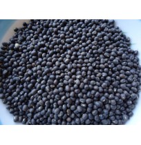 Urad Sabut Dal